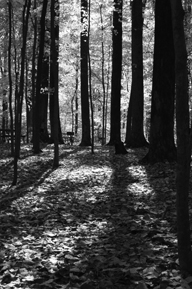 Cool Stuff comming Soon